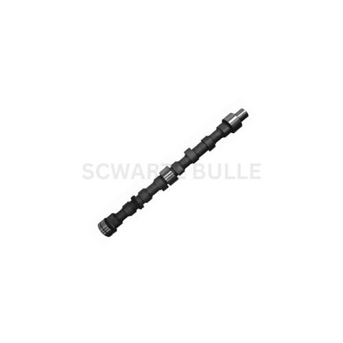 Cam Shaft